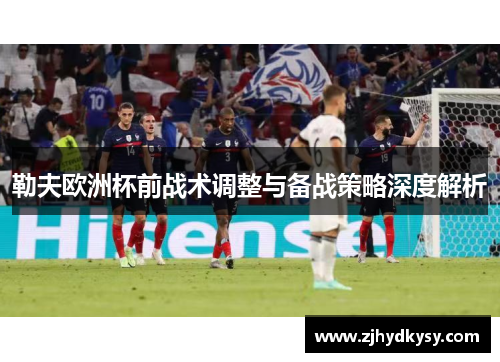 勒夫欧洲杯前战术调整与备战策略深度解析